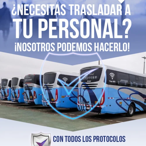 Proyecto del portafolio de SEOCREATIVOS